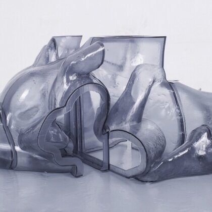 Carrier - Rhythm Immortal (2 LPs)