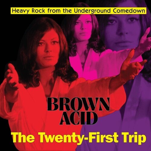 Brown Acid - The Twenty-First Trip LP