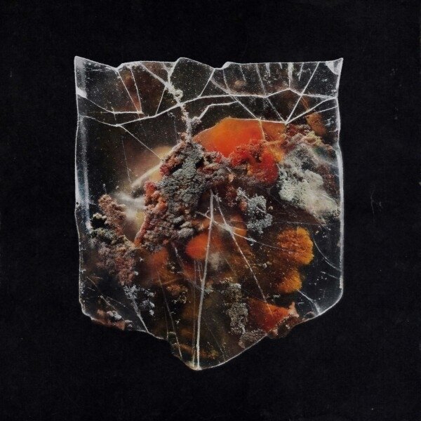 Shields - Death & Connection LP