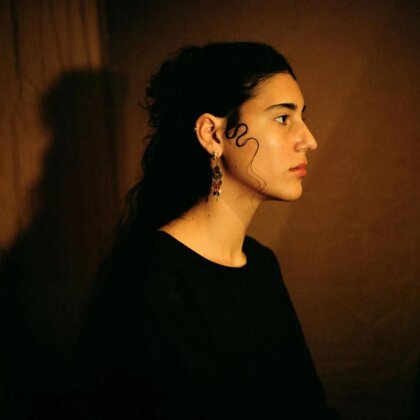 Sonetos Del Amor Oscuro - Vol. 1: El Sue&ntilde;o Se Deshizo Para Siempre