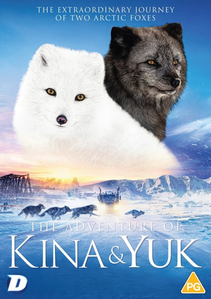 Kina & Yuk (2023)