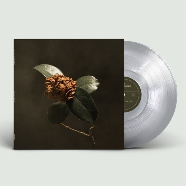 St. Paul & The Broken Bones - Young Sick Camellia 2025 Reissue, Ultra Clear Vinyl, LP