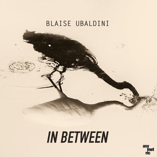 Blaise Ubaldini - In Between