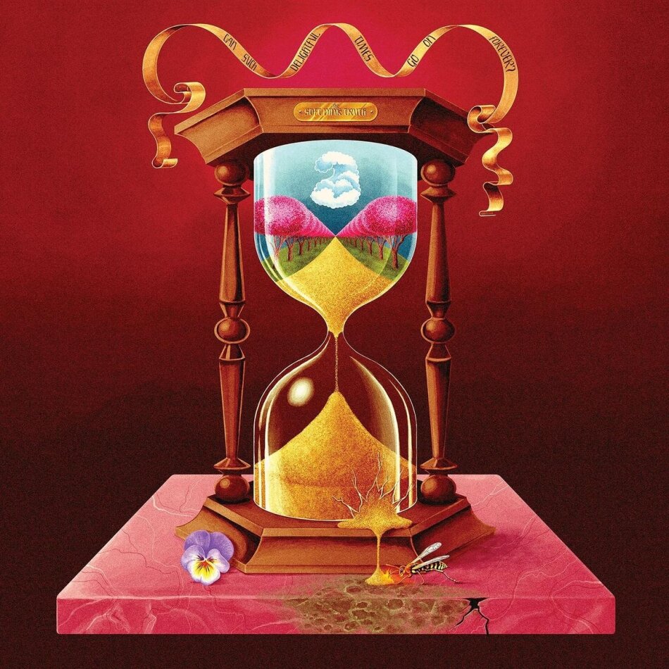 Soft Pink Truth - Can Such Delightful Times Go On Forever? LP