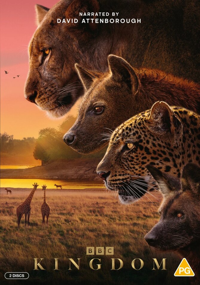 Kingdom (2025) 2 DVD
