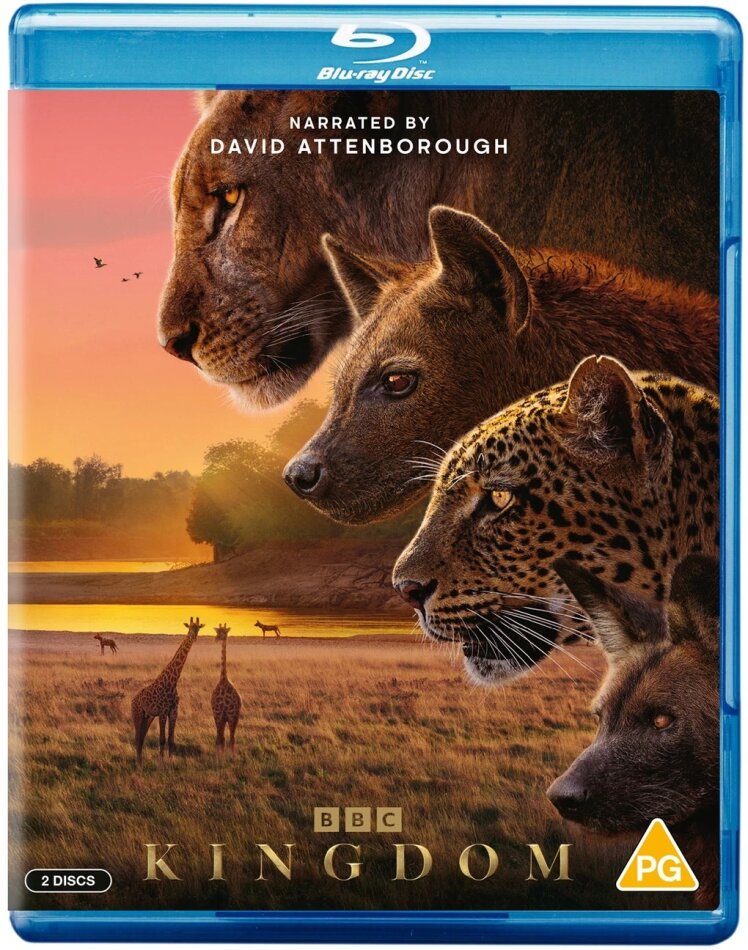 Kingdom (2025) 2 Blu-ray