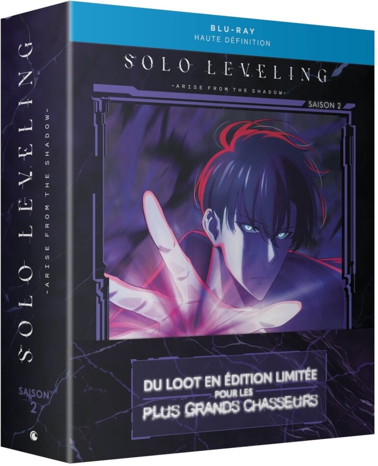 Solo Leveling - Saison 2