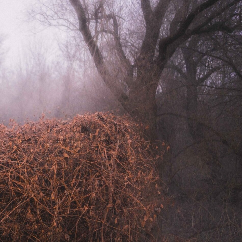 The Devil's Trade - Nincs Szennyezetlen Szep Limited Edition, LP