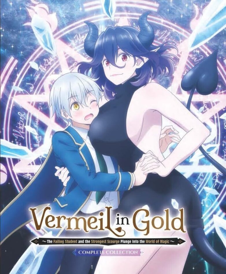 Vermeil In Gold Collector's Edition, 2 Blu-rays