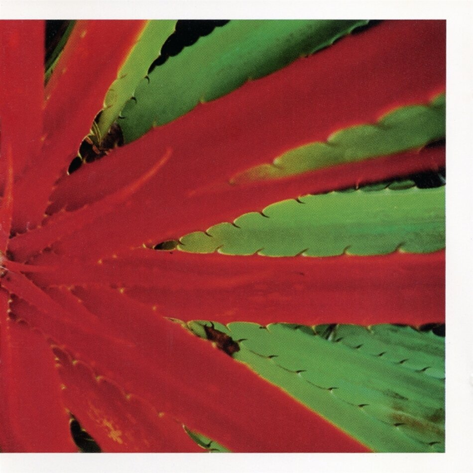 Jejune - This Afternoon's Malady 2026 Reissue, Indies Only, LP