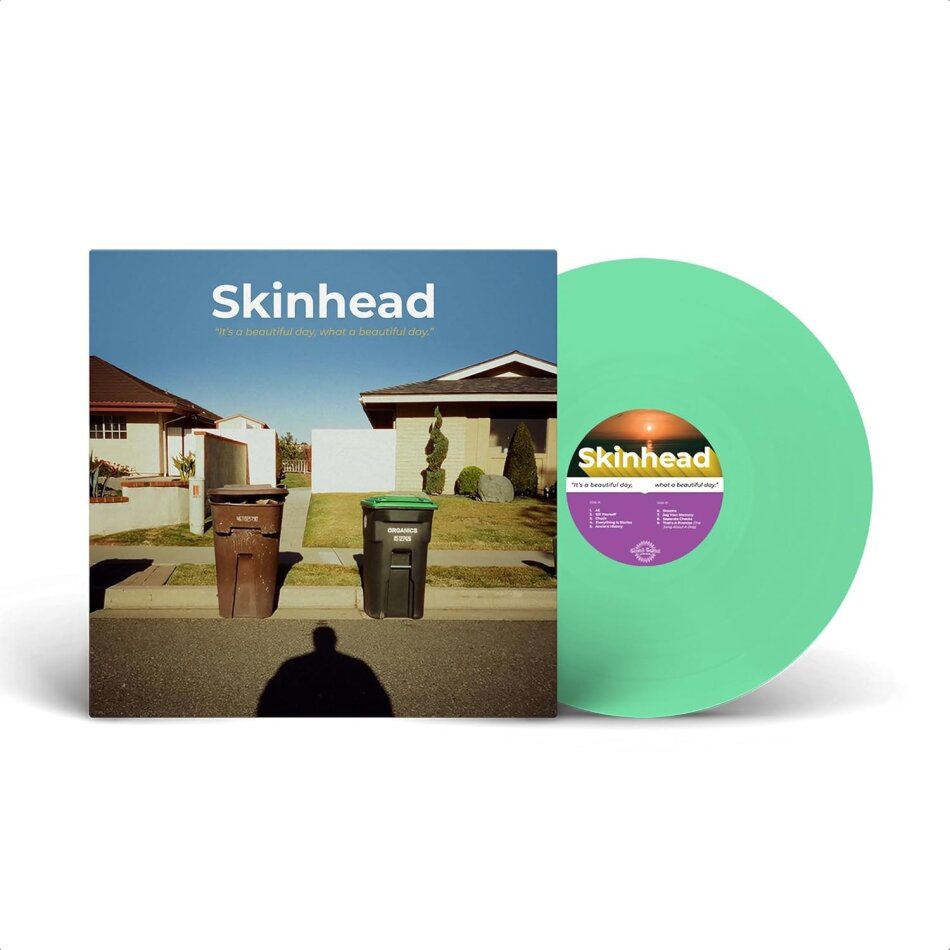 Skinhead - It's a Beautiful Day, What a Beautiful Day Mint Vinyl, LP