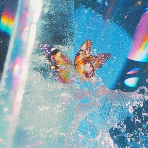 Daphni - Butterfly Pink Vinyl, 2 LPs