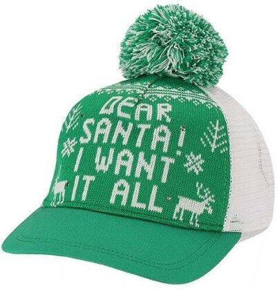 Dear Santa I Want It All Weihnachtsm&uuml;tze mit LED