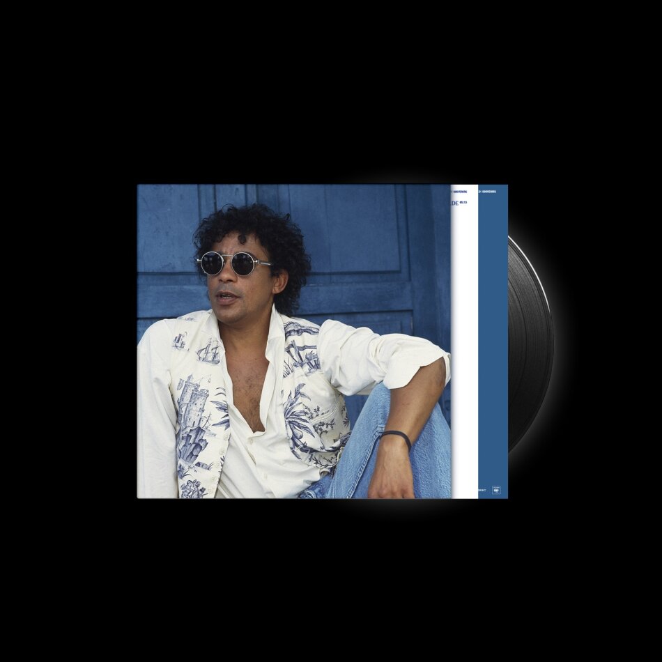 Laurent Voulzy - 21 Souvenirs 2 LP