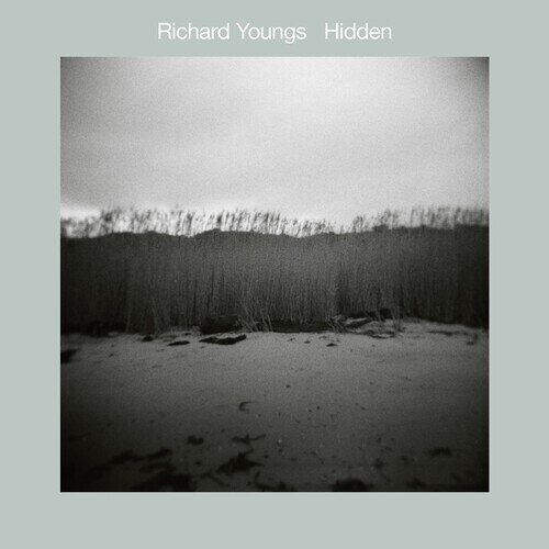 Richard Youngs - Hidden LP