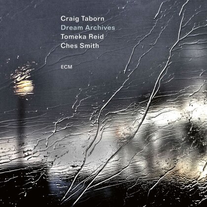 Craig Taborn, Reid Thomas & Ches Smith - Dream Archives