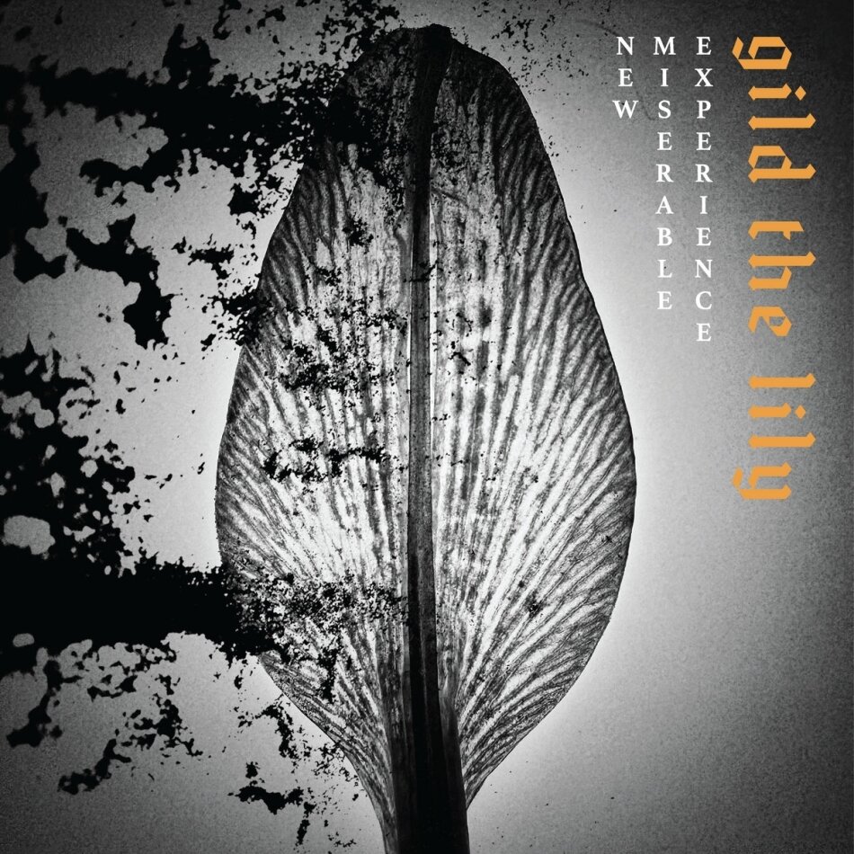 New Miserable Experience - Gild The Lily LP
