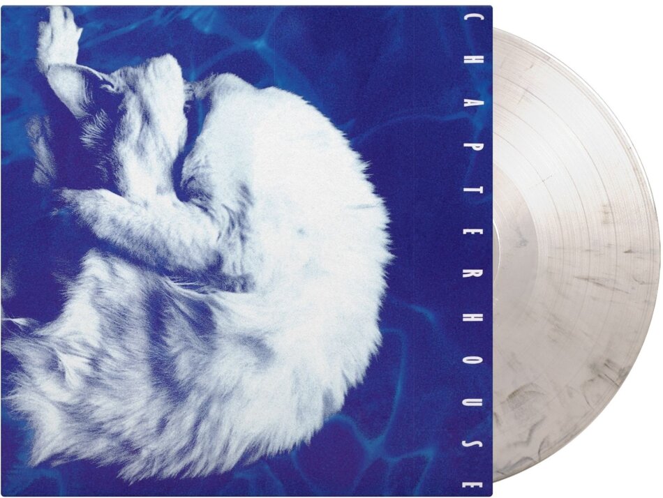 Chapterhouse - Whirlpool Music On Vinyl, 2026 Reissue, Limited Edition, Black / White Vinyl, LP