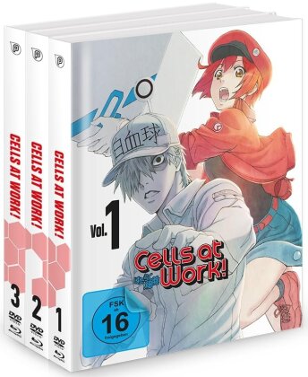 Cells at Work! - Vol. 1-3 (Gesamtausgabe, Bundle, Limited Edition, Mediabook, 3 Blu-rays + 3 DVDs)