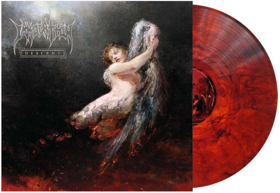 Immolation - Descent Indie Exclusive, Transparent Red/Black Marbled Vinyl, LP