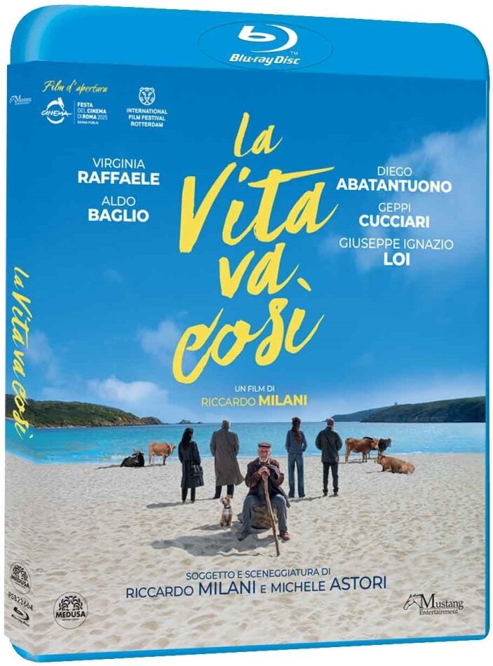 La vita va così (2025)