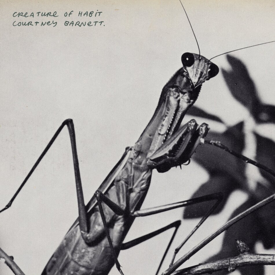 Courtney Barnett - Creature Of Habit SHM CD, Japan Edition