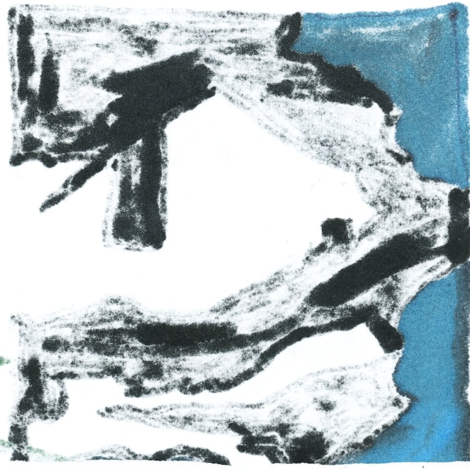 Accessory - Dust LP