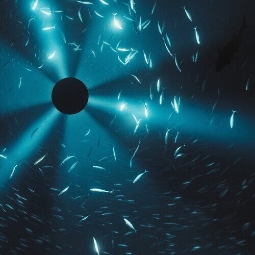 Laurel Halo - Midnight Zone - OST Gatefold, LP