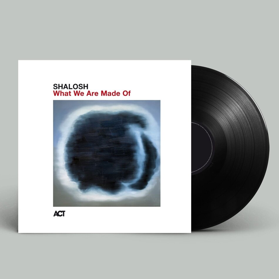 Shalosh - What We Are Made Of LP