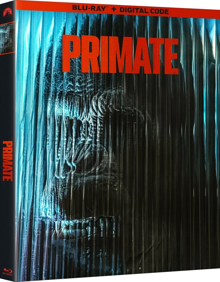 Primate - Ben - Rabbia Animale (2025)