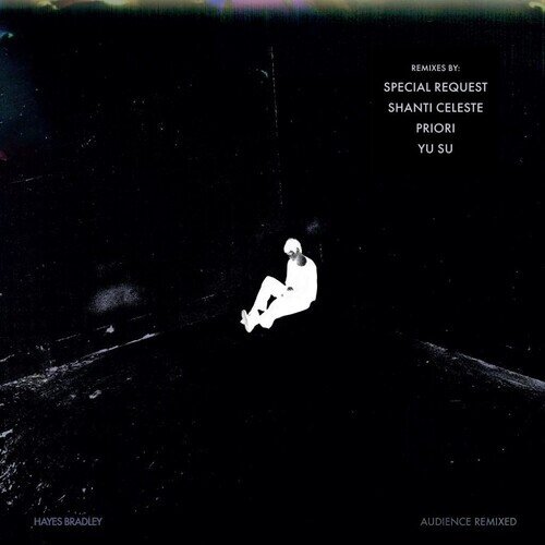 Hayes Bradley - Audience 2026 Reissue, Remixed, 12" Maxi
