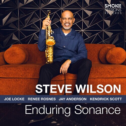 Steve Wilson - Enduring Sonance LP