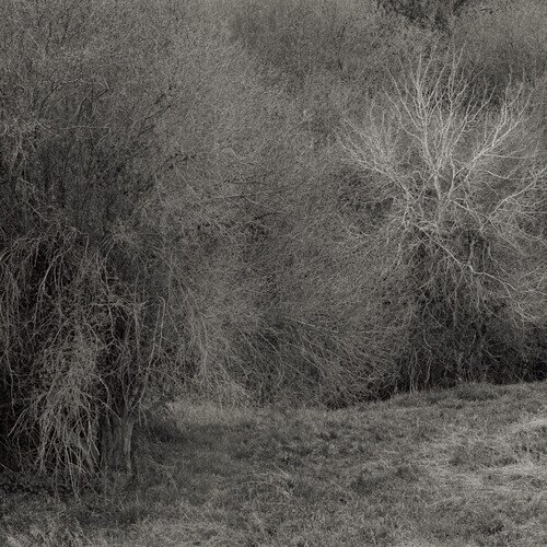 K. Leimer - Atrophies For Piano LP