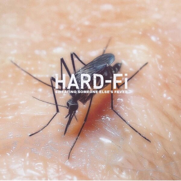 Hard-Fi - Sweating Someone Else’s Fever Black Splatter & Solid White , LP