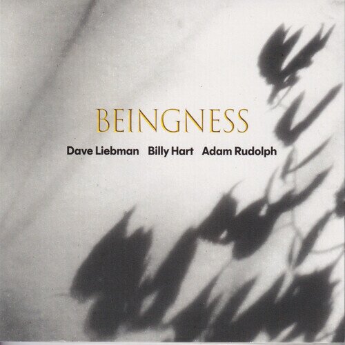 Dave Liebman, Adam Rudolph & Billy Hart - Beingness Limited Edition, LP