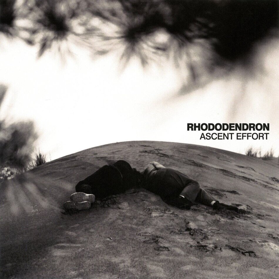 Rhododendron - Ascent Effort LP