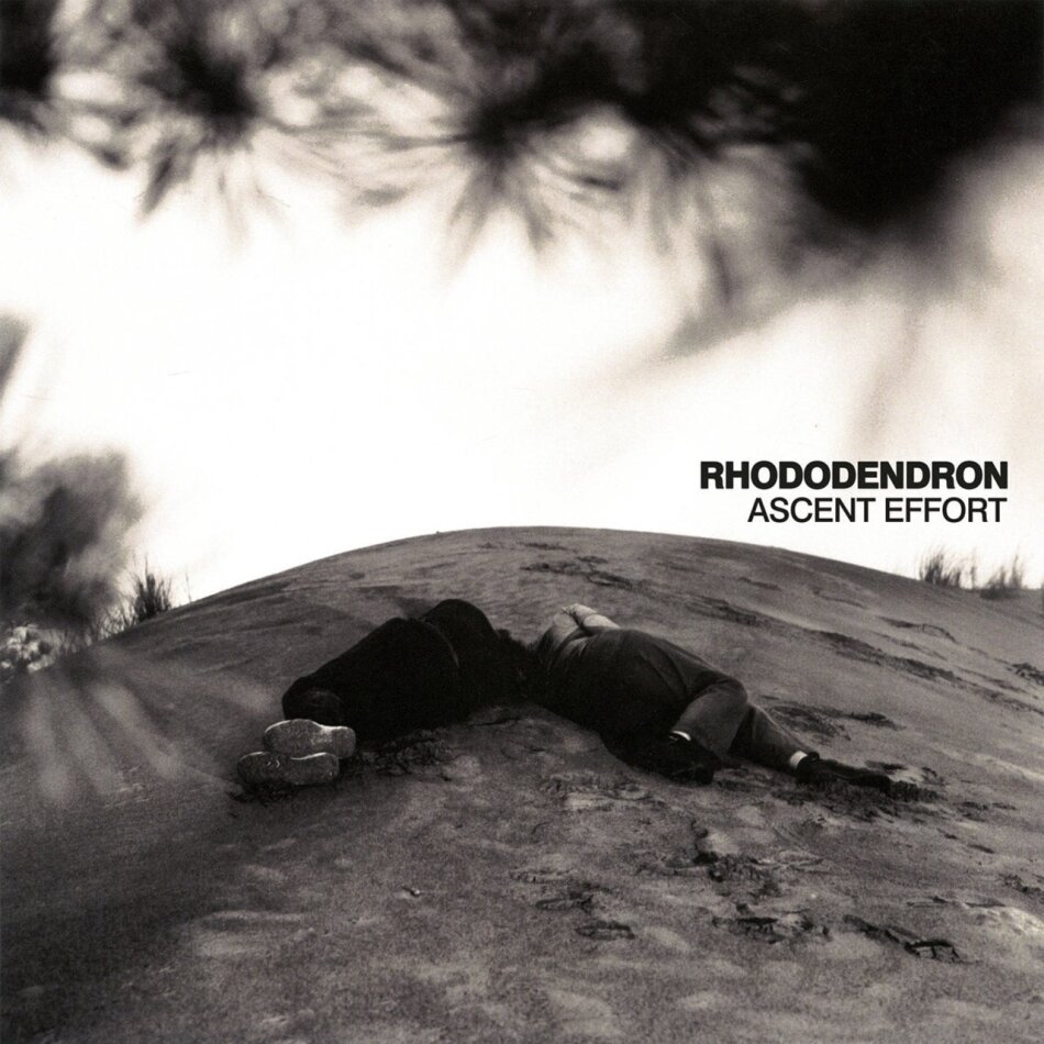 Rhododendron - Ascent Effort LP