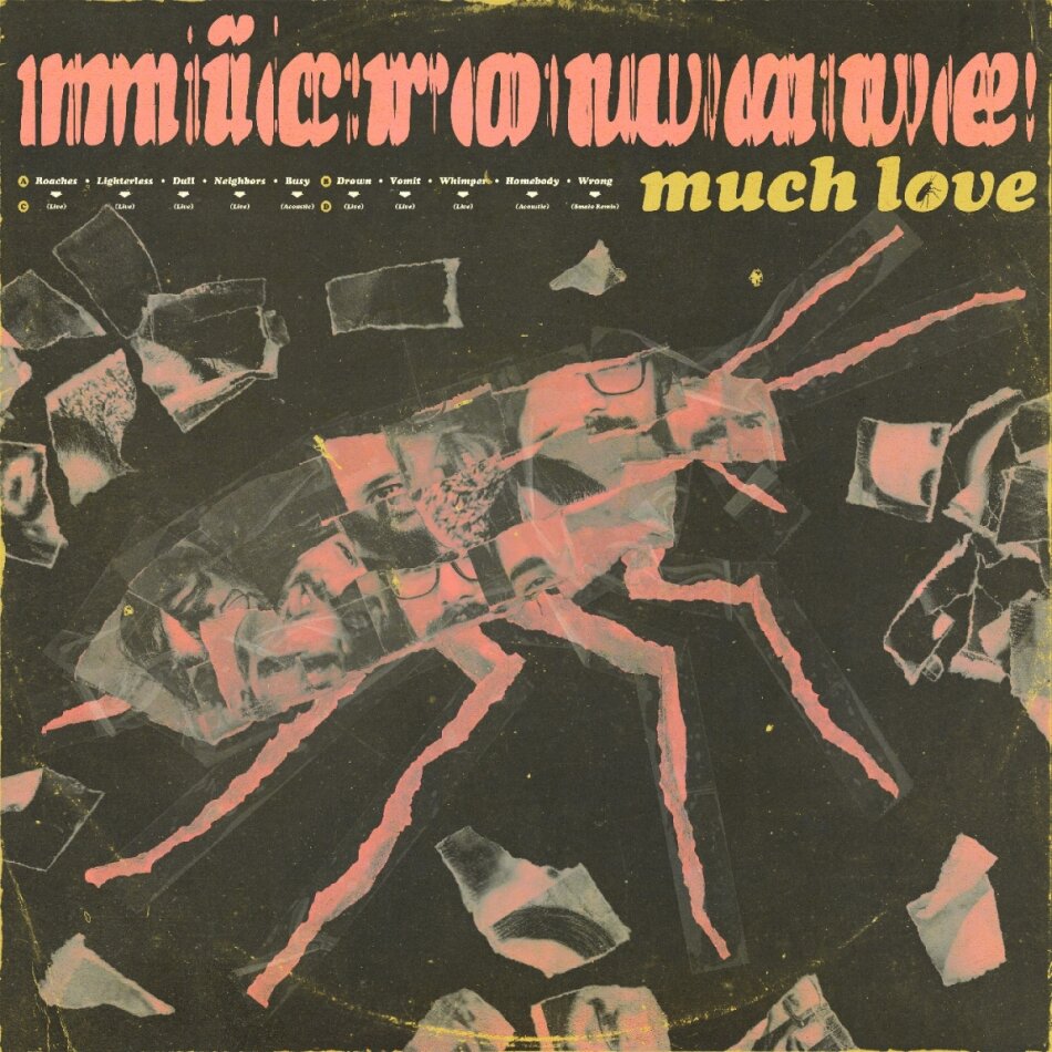 Microwave - Much Love 2026 Reissue, 2 LP