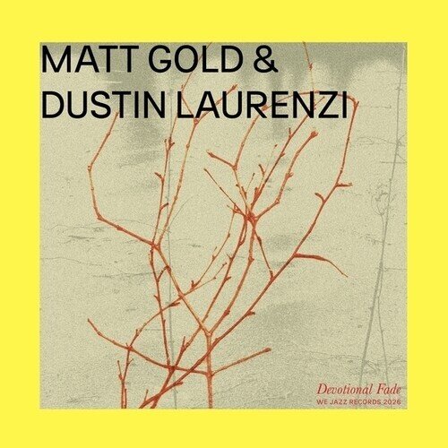 Matt Gold & Dustin Laurenzi - Devotional Fade LP
