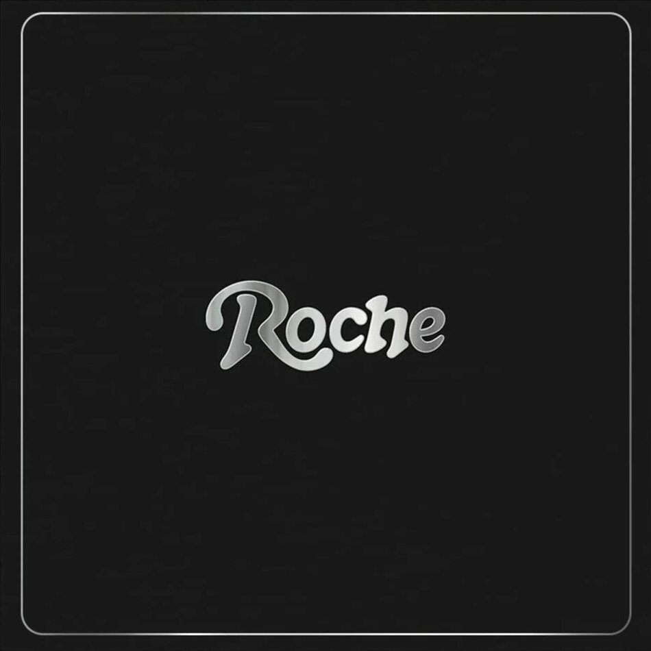 Back To The Groove - Roche Musique 2 LP