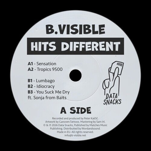 B.Visible - Hits Different 12" Maxi
