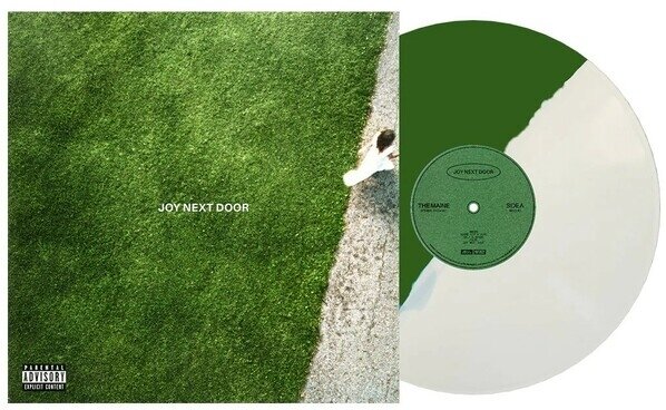 The Maine - Joy Next Door LP