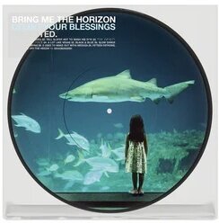 Bring Me The Horizon - Count Your Blessings | Repented Exclusive Edition, 2026 Reissue, 20th Anniversary Edition, Limited Edition, Picture Disc, LP