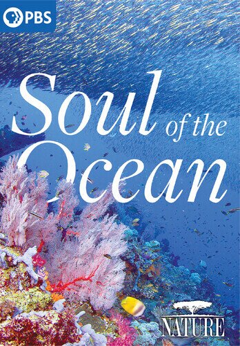 Soul of the Ocean Nature