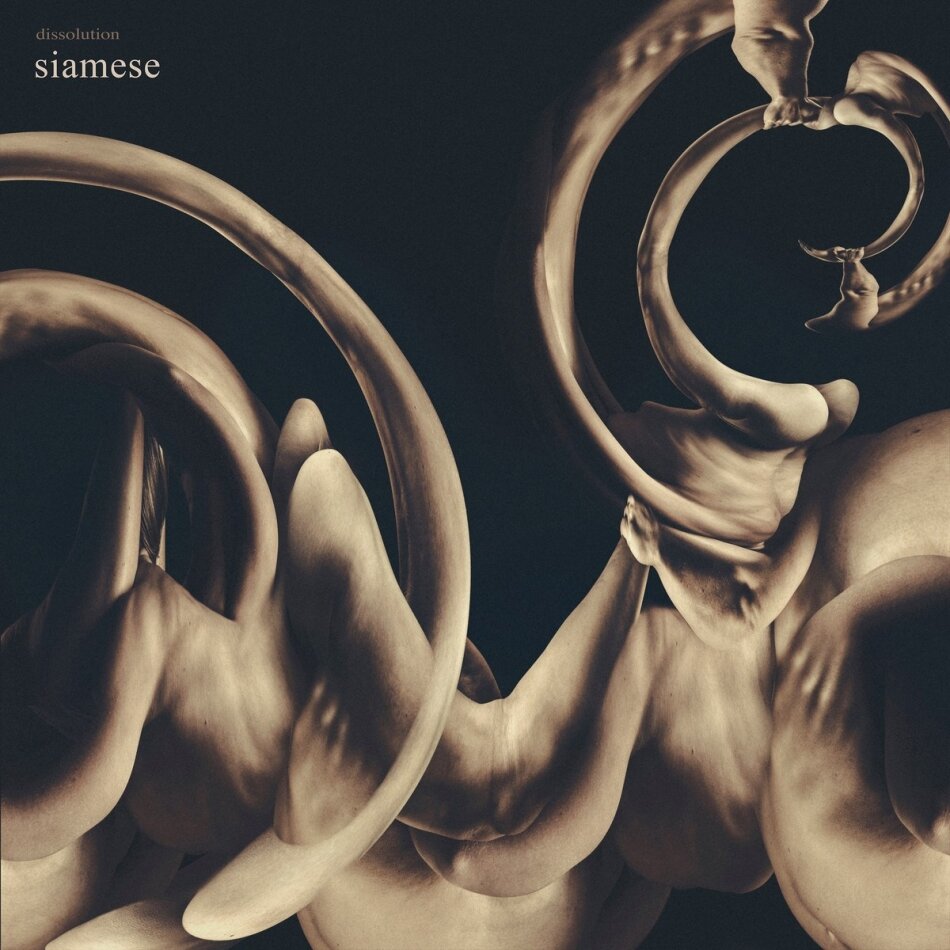Siamese - Dissolution Gold Vinyl, LP