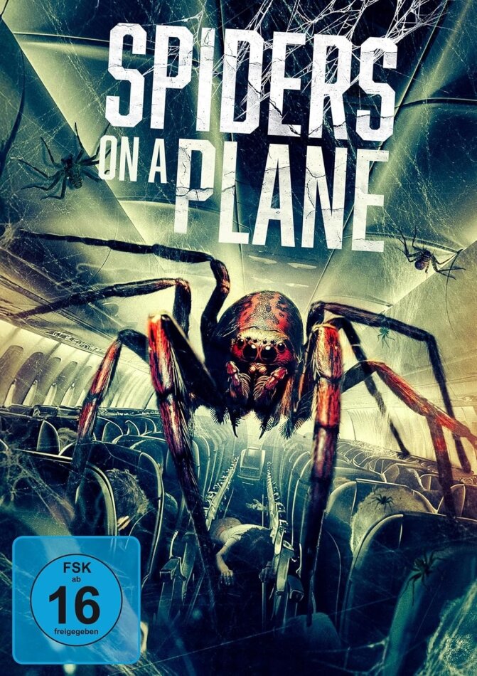 Spiders on a Plane (2024)