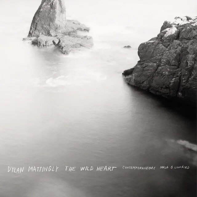 Dylan Mattingly, David Bloom & Contemporaneous - The Wild Heart LP