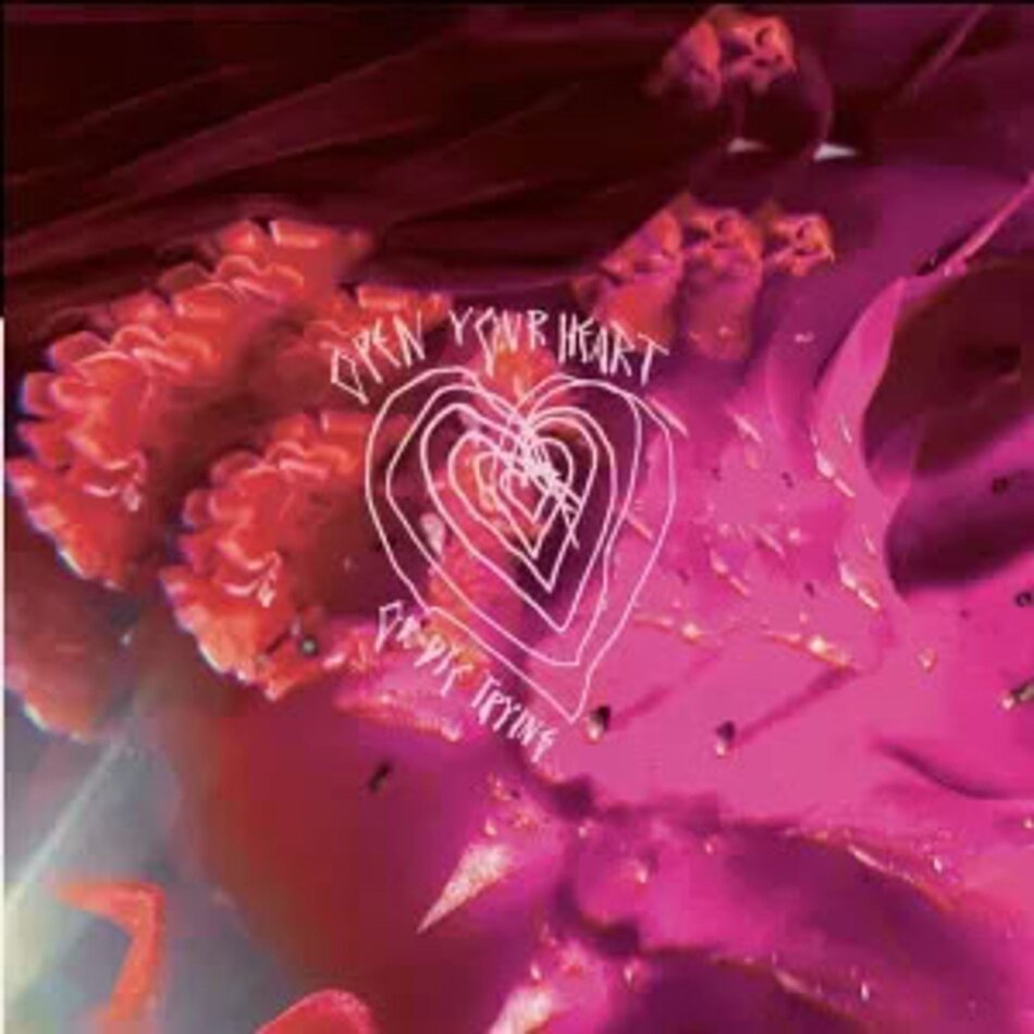 Arcade Fire - Open Your Heart or Die Trying LP
