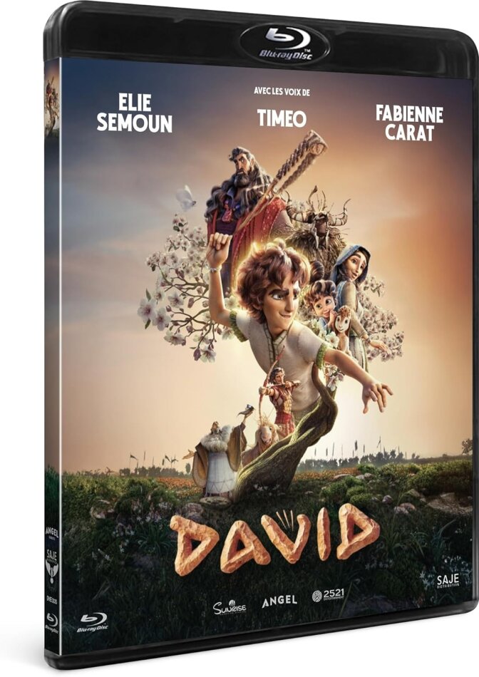 David (2025)
