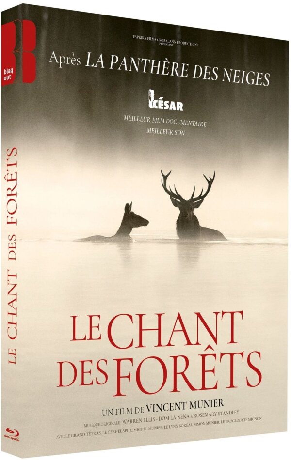 Le Chant des forêts (2025)
